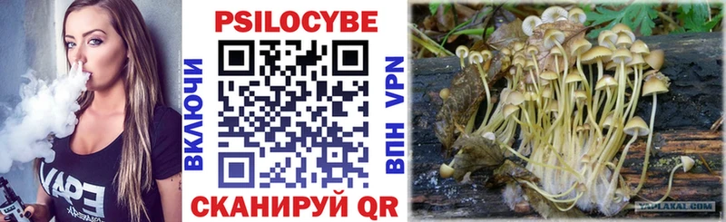 Псилоцибиновые грибы прущие грибы Покров