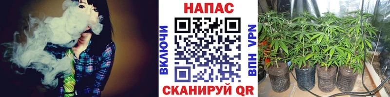 Конопля THC 21%  Покров 